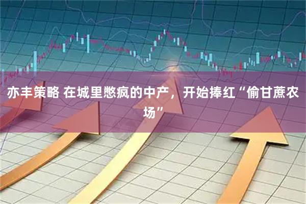 亦丰策略 在城里憋疯的中产，开始捧红“偷甘蔗农场”