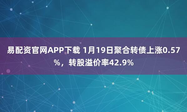 易配资官网APP下载 1月19日聚合转债上涨0.57%，转股溢价率42.9%